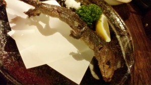 BeautyPlus_20150701201457_fast